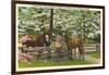 Dogwood Blossoms, Horses-null-Framed Art Print