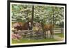 Dogwood Blossoms, Horses-null-Framed Art Print