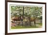 Dogwood Blossoms, Horses-null-Framed Art Print