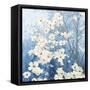 Dogwood Blossoms I Indigo-James Wiens-Framed Stretched Canvas