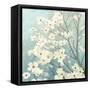 Dogwood Blossoms I-James Wiens-Framed Stretched Canvas