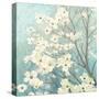 Dogwood Blossoms I-James Wiens-Stretched Canvas