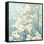 Dogwood Blossoms I-James Wiens-Framed Stretched Canvas