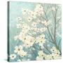 Dogwood Blossoms I-James Wiens-Stretched Canvas