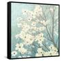 Dogwood Blossoms I-James Wiens-Framed Stretched Canvas