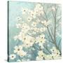 Dogwood Blossoms I-James Wiens-Stretched Canvas