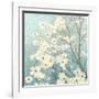 Dogwood Blossoms I-James Wiens-Framed Art Print