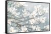 Dogwood Blossoms II Blue Gray Crop-James Wiens-Framed Stretched Canvas