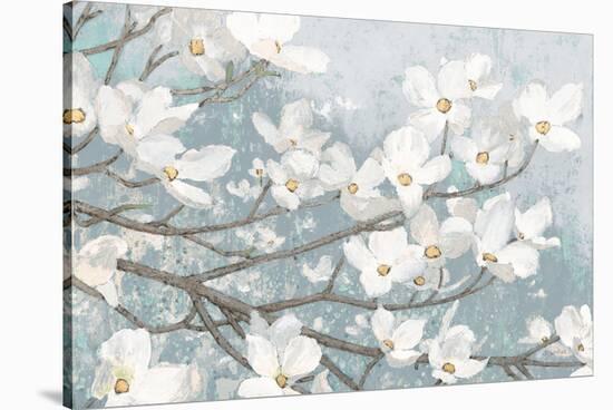 Dogwood Blossoms II Blue Gray Crop-James Wiens-Stretched Canvas