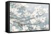 Dogwood Blossoms II Blue Gray Crop-James Wiens-Framed Stretched Canvas