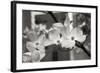 Dogwood Blossoms II BW-Erin Berzel-Framed Photographic Print