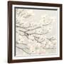 Dogwood Blossoms II Gray-James Wiens-Framed Art Print