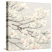 Dogwood Blossoms II Gray-James Wiens-Stretched Canvas