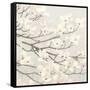 Dogwood Blossoms II Gray-James Wiens-Framed Stretched Canvas