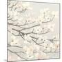 Dogwood Blossoms II Gray-James Wiens-Mounted Art Print