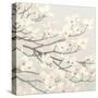 Dogwood Blossoms II Gray-James Wiens-Stretched Canvas