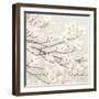 Dogwood Blossoms II Gray-James Wiens-Framed Art Print