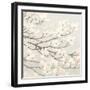 Dogwood Blossoms II Gray-James Wiens-Framed Art Print