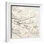 Dogwood Blossoms II Gray-James Wiens-Framed Art Print