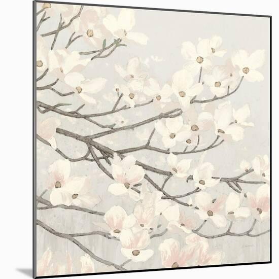 Dogwood Blossoms II Gray-James Wiens-Mounted Art Print