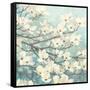 Dogwood Blossoms II-James Wiens-Framed Stretched Canvas