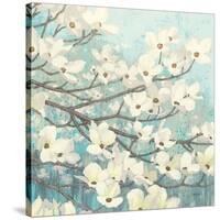 Dogwood Blossoms II-James Wiens-Stretched Canvas