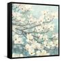 Dogwood Blossoms II-James Wiens-Framed Stretched Canvas