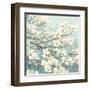 Dogwood Blossoms II-James Wiens-Framed Art Print