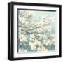 Dogwood Blossoms II-James Wiens-Framed Art Print