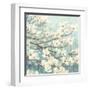 Dogwood Blossoms II-James Wiens-Framed Art Print