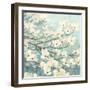 Dogwood Blossoms II-James Wiens-Framed Art Print