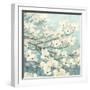 Dogwood Blossoms II-James Wiens-Framed Art Print