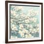 Dogwood Blossoms II-James Wiens-Framed Art Print