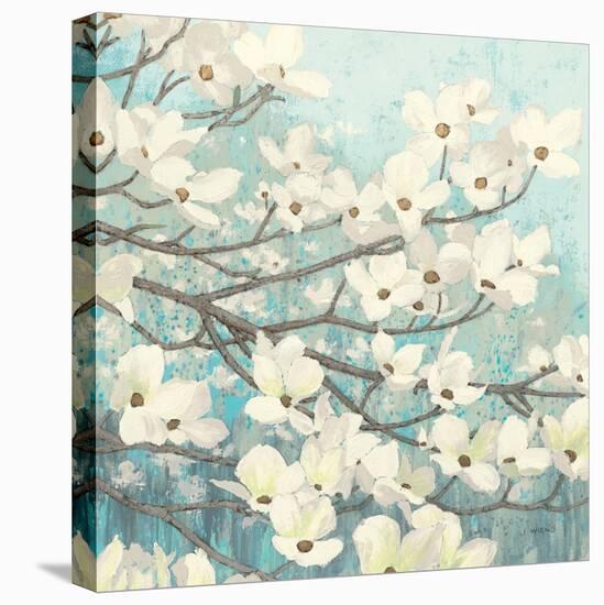 Dogwood Blossoms II-James Wiens-Stretched Canvas