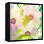 Dogwood  Bouquet 2-Kim Parker-Framed Stretched Canvas