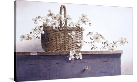 Dogwood Branch-Ray Hendershot-Stretched Canvas