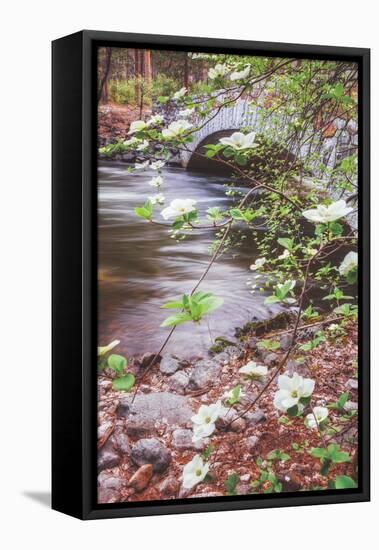 Dogwood Bridge, Yosemite National Park, California-Vincent James-Framed Stretched Canvas