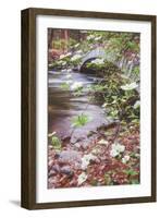 Dogwood Bridge, Yosemite National Park, California-Vincent James-Framed Photographic Print