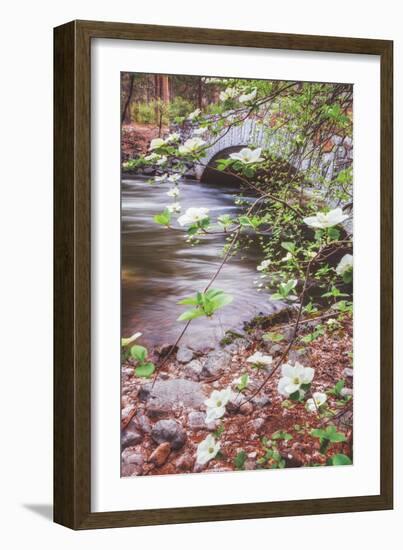 Dogwood Bridge, Yosemite National Park, California-Vincent James-Framed Photographic Print