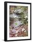 Dogwood Bridge, Yosemite National Park, California-Vincent James-Framed Photographic Print