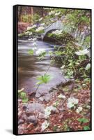 Dogwood Bridge, Yosemite National Park, California-Vincent James-Framed Stretched Canvas