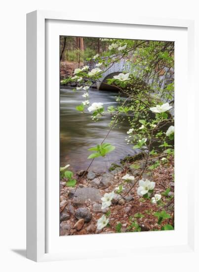 Dogwood Bridge-Vincent James-Framed Photographic Print