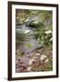 Dogwood Bridge-Vincent James-Framed Photographic Print