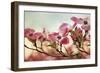 Dogwood Dreams-Jessica Jenney-Framed Giclee Print