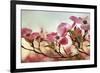 Dogwood Dreams-Jessica Jenney-Framed Giclee Print