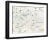 Dogwood Hues-James Wiens-Framed Art Print