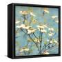 Dogwood I - Blossoming Tree-Amy Melious-Framed Stretched Canvas