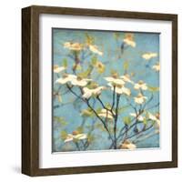 Dogwood I - Blossoming Tree-Amy Melious-Framed Art Print