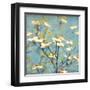 Dogwood I - Blossoming Tree-Amy Melious-Framed Art Print