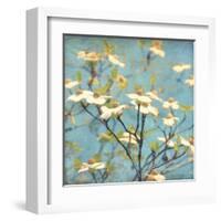 Dogwood I - Blossoming Tree-Amy Melious-Framed Art Print